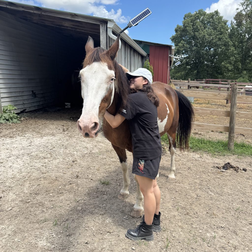 Debits, Credits, &&nbsp;Daydreams